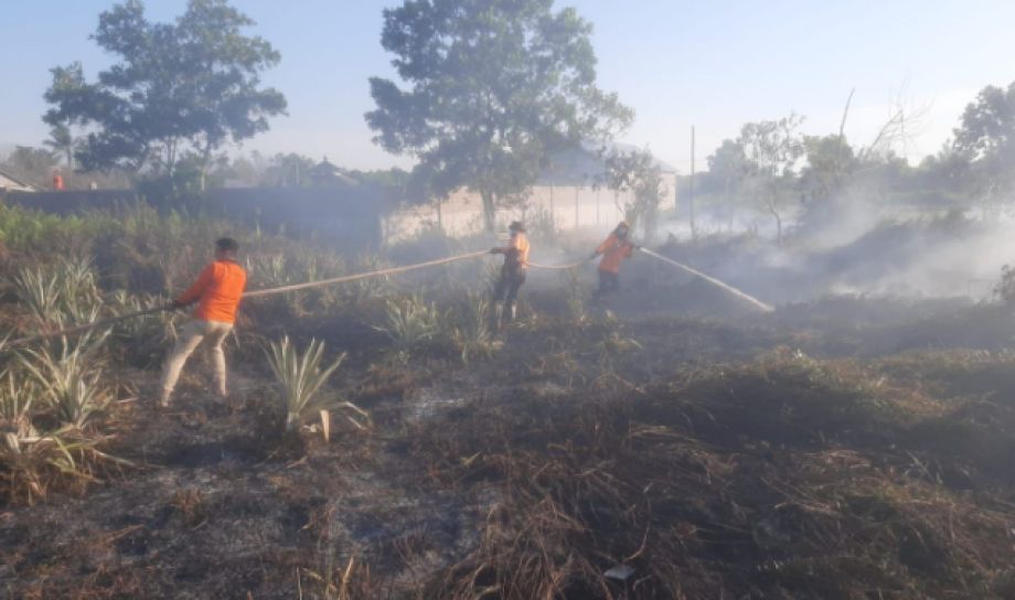 Cegah Karhutla, BPBD Kalbar Optimalkan Satgas Darat