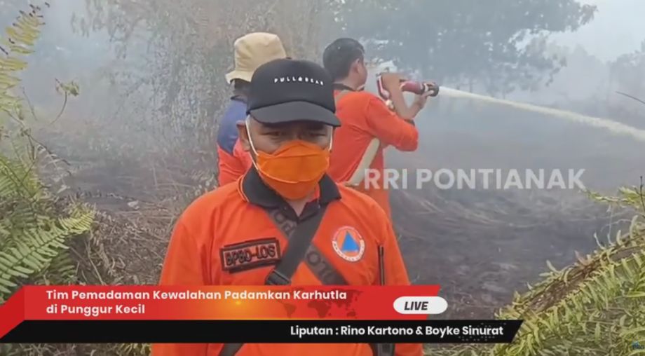 Tim Pemadaman Kewalahan Padamkan Karhutla di Punggur Kecil