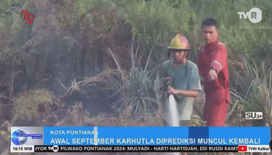 Awal September  Karhutla di Prediksi Muncul Kembali